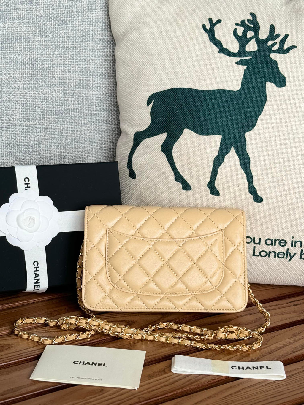 Chanel WOC Entrupy 19 Bag in Dark Cream Calfskin