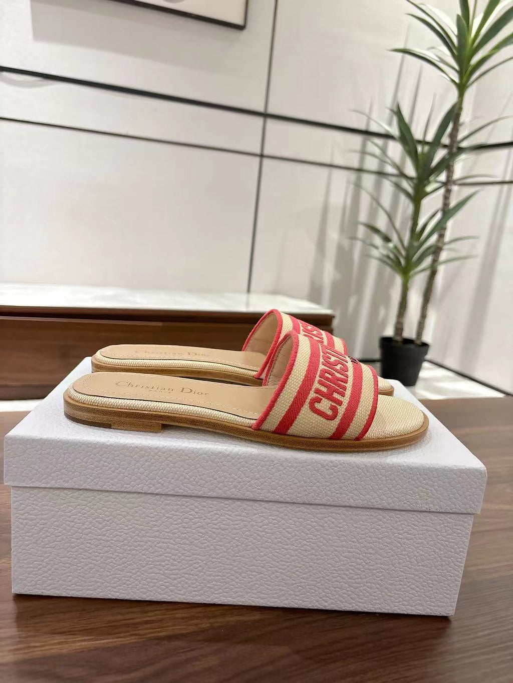 Dior Dway Slides in Beige and Red Technical Fabric