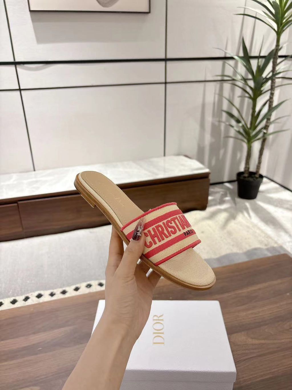 Dior Dway Slides in Beige and Red Technical Fabric