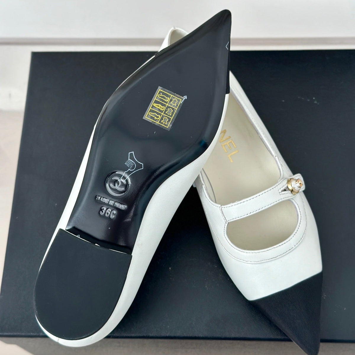 Chanel Double C Milan Runway Pointed Toe Mary Jane Shoes White Black Lambskin
