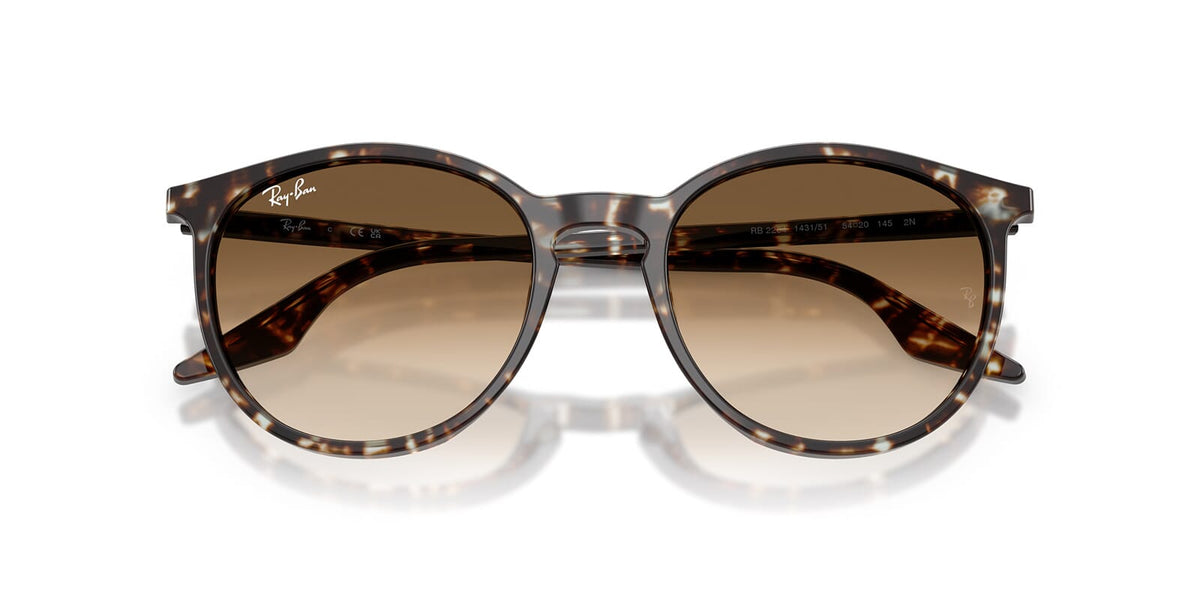Ray-Ban RB 2204 1431/51